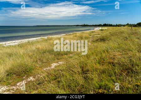 Ulvshale Strand, Insel Mön, Dänemark, Europa Ulvshale Strand, Moen Island, Dänemark, Europa Stockfoto