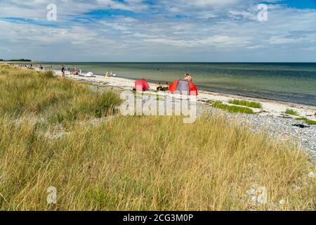 Ulvshale Strand, Insel Mön, Dänemark, Europa Ulvshale Strand, Moen Island, Dänemark, Europa Stockfoto