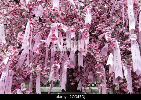 Hongkong, China: 17. August 2020. Nahaufnahme der Botschaften auf dem blühenden Wunschbaum im man Mo Tempel in Hongkong. Der Baum wird für Opfergaben und verwendet Stockfoto