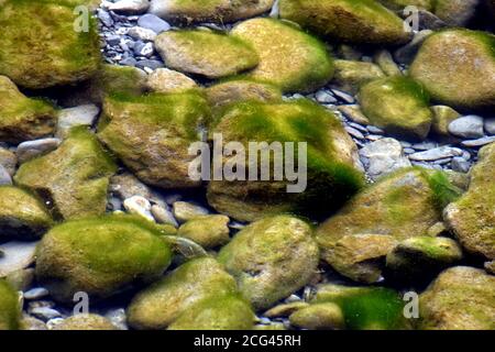 Moos bedeckte Felsen unter kristallklarem Wasser Stockfoto