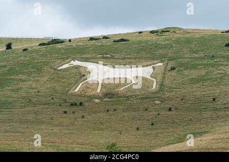 Alton Barnes White Horse Schnitt 1812 in den Kalkhang Milk Hill in Wiltshire, Großbritannien. Eine Touristenattraktion in North Wessex Downs AONB. Stockfoto