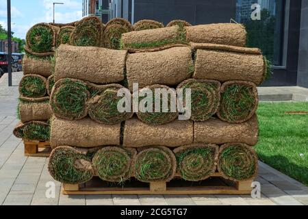 Paletten mit gerolltem Sod Rasen Gras. Der gerollte Rasen ist bereit zum Verlegen. Städtisches Grün, Gartengestaltung. Stockfoto