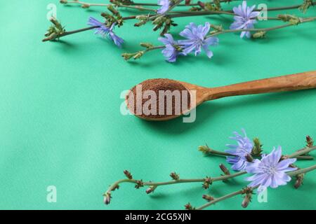 Konzentrieren und Blumen Zichorien auf grünem Hintergrund. Gesundes Kräutergetränk, Kaffee-Ersatz, Copy Space Stockfoto