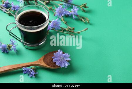 Chicorée Getränk in Glas-Tasse, mit Konzentrat und Blumen auf grünem Hintergrund. Gesundes Kräutergetränk, Kaffee-Ersatz, Raum für Text Stockfoto