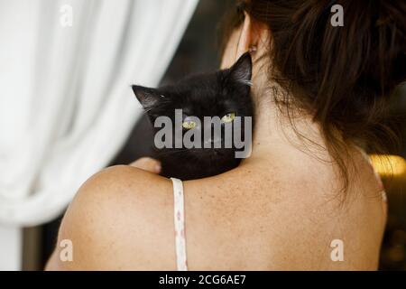 Liebenswert schwarz Kätzchen mit gelben Augen auf weibliche Schulter im Zimmer. Frau umarmt niedlich Angst schwarze Katze, Annahme Konzept. Kitty Gesicht Nahaufnahme Stockfoto