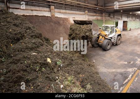 Dresden, Deutschland. September 2020. Ein Radlader kippt Bioabfall auf einen Stapel in der Fermentationsanlage der MVV Biogas Dresden GmbH. Am selben Tag wurde eine Kampagne für hochwertigen Bioabfall ohne Kunststoffe gestartet. Quelle: Sebastian Kahnert/dpa-Zentralbild/ZB/dpa/Alamy Live News Stockfoto