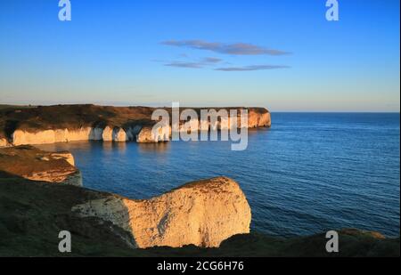 Die Klippen von Flamborough Head im East Riding of Yorkshire, Großbritannien, bei Sonnenaufgang im Sommer. Stockfoto