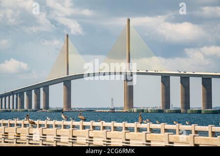 Foto der Sunshine Skyway Bridge St. Petersburg Florida drüben Tampa Bay Stockfoto