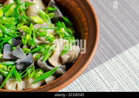 Salat mit eingelegten Pilzen und grünen Zwiebeln in einer Tonschüssel. Verschiedene Pilze mit Zwiebeln, Knoblauch und Olivenöl. Bio-Lebensmittel. Servieroption. Stockfoto