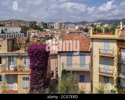 Blick über Cannes Stadt mit stimmungsvollen alten traditionellen Häusern mit roten Ziegeldächern, hölzernen Sonnenjalousien, offenen Balkonen, Blumentöpfen mit grünen Pflanzen. Stockfoto