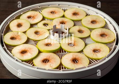 Nahaufnahme von frischen Apfel in Scheiben geschnitten auf Tablett des Dehydrators platziert, Vorbereitung Müsli zu Hause Konzept Stockfoto