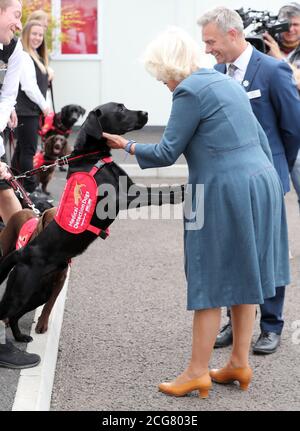 MILTON KEYNES, ENGLAND - SEPTEMBER 09: Camilla, Herzogin von Cornwall, Patron of Medical Detection Dogs, während eines Besuchs im Ausbildungszentrum der Wohltätigkeitsorganisation??s, wo derzeit Versuche laufen, um zu bestimmen, ob Hunde als Diagnosetool von COVID-19 am 09. September 2020 in Milton Keynes, England, dienen können. (Foto von Chris Jackson - WPA Pool/Getty Images) Stockfoto