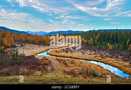 Ein Bild der Herbstlandschaft des Jarvis Creek im Schweizer Park in der Nähe von Hinton Alberta, Kanada. Stockfoto