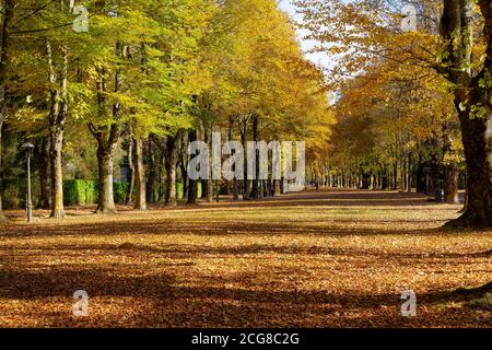 Panoramablick auf den Maristany Park in Camprodon, mitten im Herbst Stockfoto