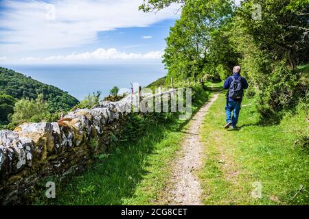 Ein männlicher Wanderer mittleren Alters, der den South West Coast Path in der Nähe von Lynton in North Devon entlang geht. Stockfoto