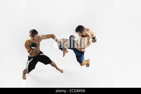 Zwei professionelle MMA Kämpfer Boxen isoliert auf weißem Studio Hintergrund. Draufsicht auf ein paar Muskelsportler. Sport, gesunder Lebensstil, Wettkampf, Dynamik und Bewegung, Action-Konzept. Copyspace. Stockfoto