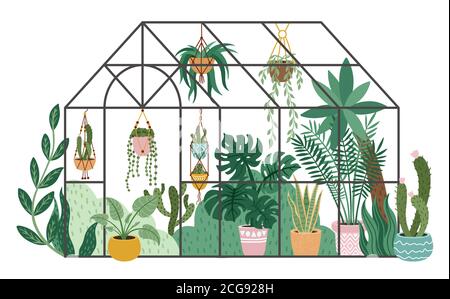Pflanzen von Gewächshäusern. Glas Orangerie, botanischen Garten Gewächshaus, Blumen und Topfpflanzen Home Gartenarbeit isoliert Vektor Illustration Stock Vektor
