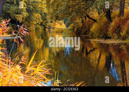 Schöne Herbstlandschaft schöne Bäume mit bunten Blättern über dem Fluss, glühend in Sonnenlicht. Wunderbare malerische Landschaft. Farbe in der Natur. gorg Stockfoto