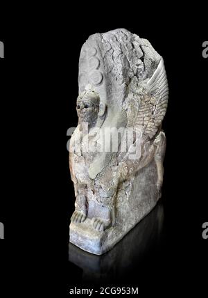 Hethiter-Sphinx-Skulptur eines der 4 Sphinx aus dem Sphinx-Tor von Hattusa, Neuhethitisches Königreich, 13. Jh. v. Chr. , Archäologisches Museum Bogazkale Stockfoto