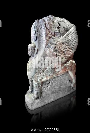 Hethiter-Sphinx-Skulptur eines der 4 Sphinx aus dem Sphinx-Tor von Hattusa, Neuhethitisches Königreich, 13. Jh. v. Chr. , Archäologisches Museum Bogazkale Stockfoto