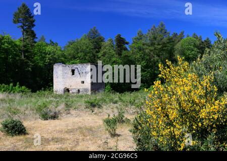 Blick auf Thetford Warren Lodge, Thetford Town, Norfolk, England, Großbritannien Stockfoto