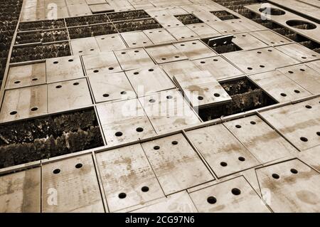 Plasmaschneiden im Werk. Blech geschnitten. Details. Stockfoto