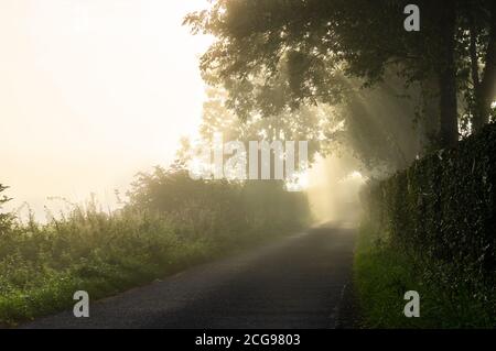 Ein malerischer Blick auf die Sonnenstrahlen, die an einem nebligen Septembermorgen auf einer Landstraße in Hampshire durch den Nebel scheinen. Stockfoto