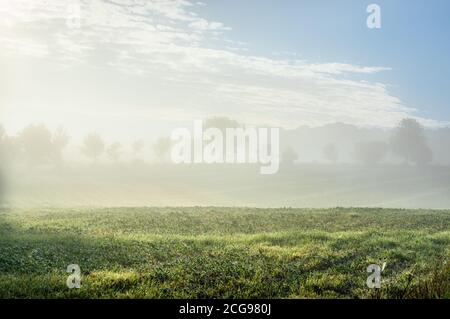 Eine malerische Aussicht auf ein Feld in der Landschaft von Hampshire an einem nebligen Septembermorgen. Stockfoto