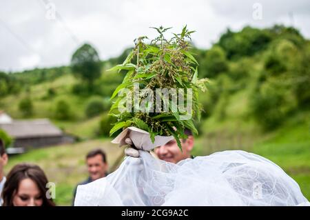 Bouquet von Brennesseln auf Hochzeit Lösegeld Stockfoto