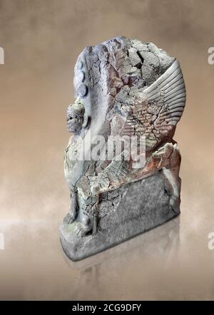 Hethiter-Sphinx-Skulptur eines der 4 Sphinx aus dem Sphinx-Tor von Hattusa, Neuhethitisches Königreich, 13. Jh. v. Chr. , Archäologisches Museum Bogazkale Stockfoto