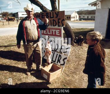 Dezember 1973 - ein Gehäutet Possum gezeigt von einer der ältesten Fallensteller in Texas, die Stadt der Leakey. In der Nähe von San Antonio, 12/1973 Stockfoto