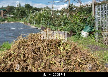 Holländischer Schrebergarten im Herbst mit Haufen von Gartenabfällen Stockfoto