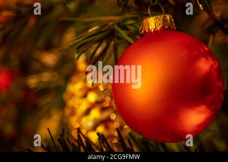 Ein rotes Ornament hängt von Weihnachtsbaum Gliedmaßen Stockfoto