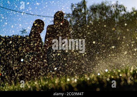 Silhouetten von Kindern, die mit dem Wasser spielen, das kommt Aus den Sprinklern einen Garten mit dem zu bewässern Sonne gegen das Licht, das im dr reflektiert wird Stockfoto