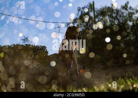 Silhouetten von Kindern, die mit dem Wasser spielen, das kommt Aus den Sprinklern einen Garten mit dem zu bewässern Sonne gegen das Licht, das im dr reflektiert wird Stockfoto