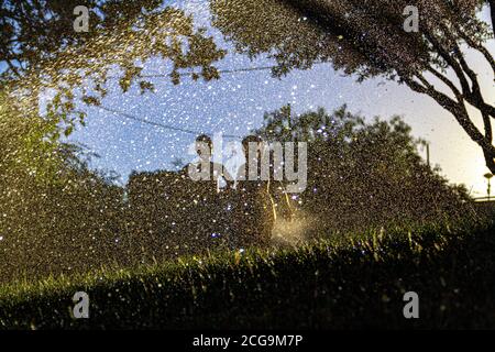 Silhouetten von Kindern, die mit dem Wasser spielen, das kommt Aus den Sprinklern einen Garten mit dem zu bewässern Sonne gegen das Licht, das im dr reflektiert wird Stockfoto