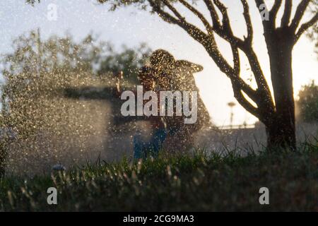 Silhouetten von Kindern, die mit dem Wasser spielen, das kommt Aus den Sprinklern einen Garten mit dem zu bewässern Sonne gegen das Licht, das im dr reflektiert wird Stockfoto