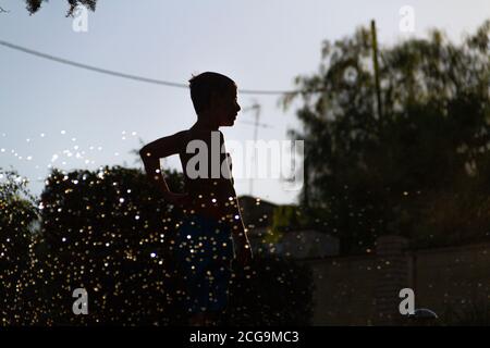 Silhouetten von Kindern, die mit dem Wasser spielen, das kommt Aus den Sprinklern einen Garten mit dem zu bewässern Sonne gegen das Licht, das im dr reflektiert wird Stockfoto