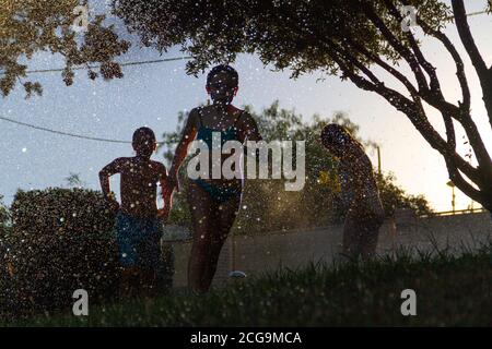 Silhouetten von Kindern, die mit dem Wasser spielen, das kommt Aus den Sprinklern einen Garten mit dem zu bewässern Sonne gegen das Licht, das im dr reflektiert wird Stockfoto