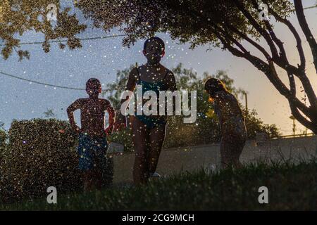 Silhouetten von Kindern, die mit dem Wasser spielen, das kommt Aus den Sprinklern einen Garten mit dem zu bewässern Sonne gegen das Licht, das im dr reflektiert wird Stockfoto