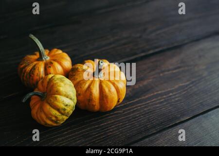 Reife orangefarbene Kürbisse auf dunklem Holzhintergrund. Minimalistisches Konzept für Thanksgiving-Karte oder Hintergrund. Für Text platzieren. Stockfoto