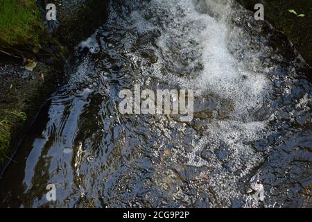 Kleiner Fluss in Cretyard Co. Laois Irland Stockfoto