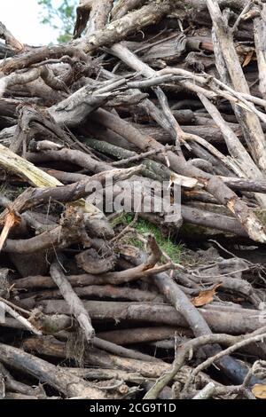 Stöcke, Brennholz, das darauf wartet, in Irland geschnitten und zubereitet zu werden Stockfoto