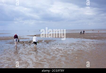 Blick auf ein Paar und ihre beiden Hunde auf einem Strandspaziergang in Hunstanton, Norfolk, Großbritannien. Mehrere Personen im Hintergrund aus der Ferne Stockfoto