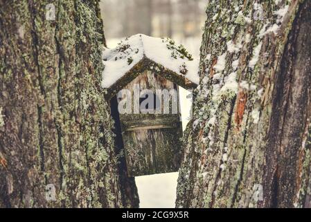 Kleines Vogelhaus. Stockfoto