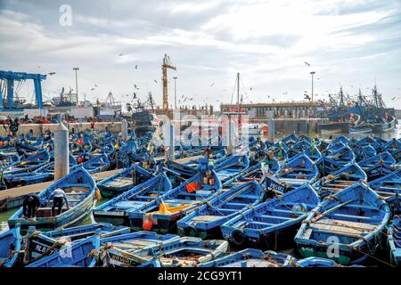 Viele kleine blaue Fischerboote im Hafen von Essaouira, Marokko Stockfoto