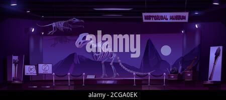 Historisches Museum mit Dinosaurierskelett und archäologischen Ausstellungen bei Nacht. Vektor Cartoon Innenraum der leeren dunklen Raum der Ausstellung mit prähistorischen Tieren und primitive Werkzeuge des Höhlenmenschen Stock Vektor