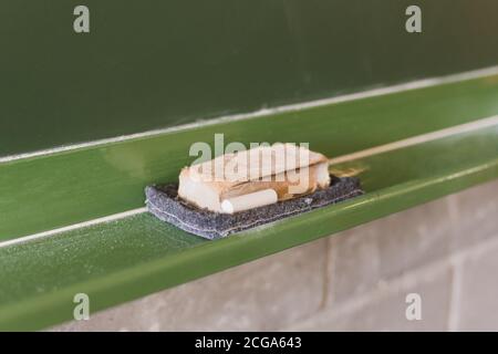 Radiergummi und Kreide auf der Tafel Stockfoto