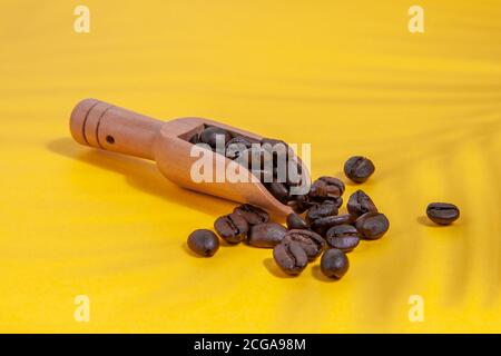 Kaffeebohnen mit Schatten von einer Palme in einem Kaffeelöffel auf einem gelben Hintergrund verstreut. Stockfoto