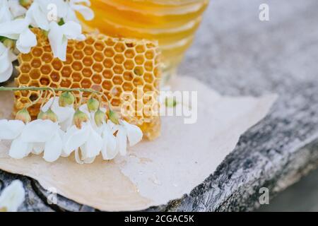 Honey Dipper , liegt Honey Stick auf Stück abgeschnitten frischen Honig in Waben. Akazienhonig in gar auf Holzgrund. Frühlingsstimmung. Selektiver Fokus. Stockfoto